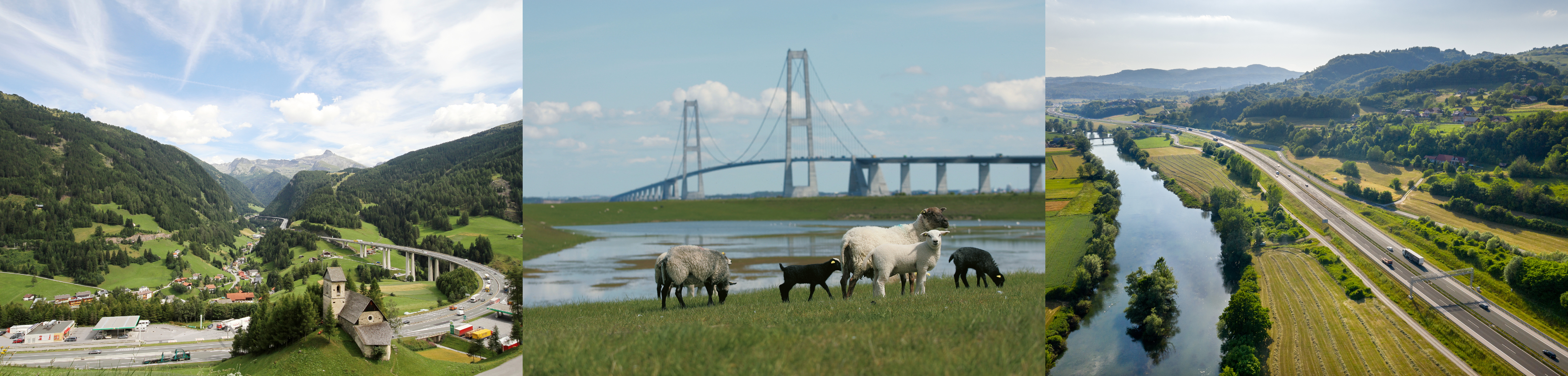 information page banner 1